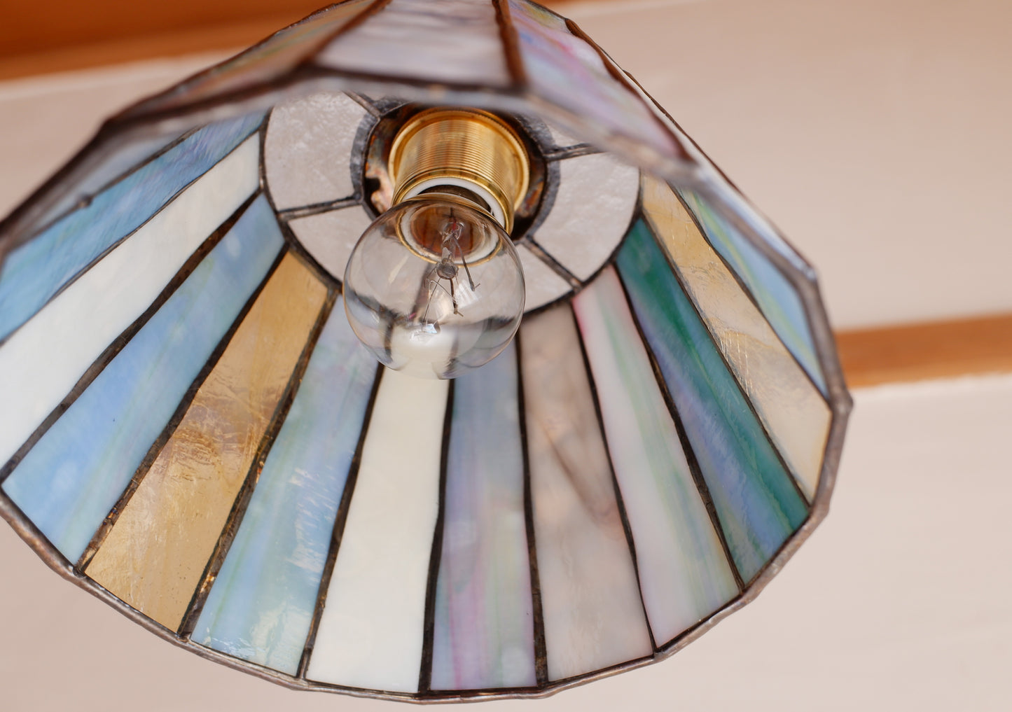 65- カップ(パステル)